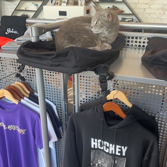 Meet your Posher, Michael - Picture 1 of 1